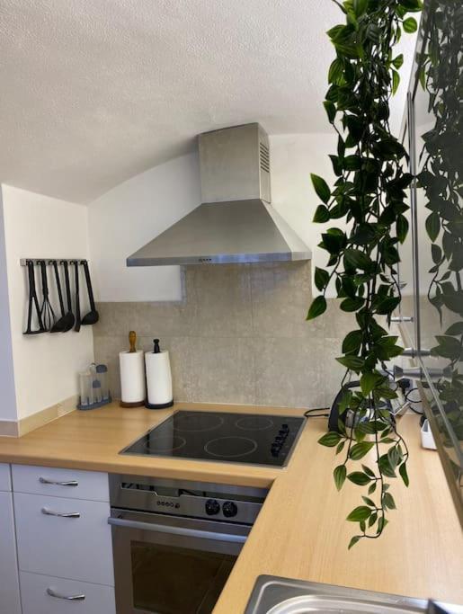Spacious Flat In The Most Desirable Area Of ロンドン エクステリア 写真